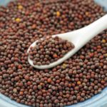 Ginormous Mustard  Seed Faith